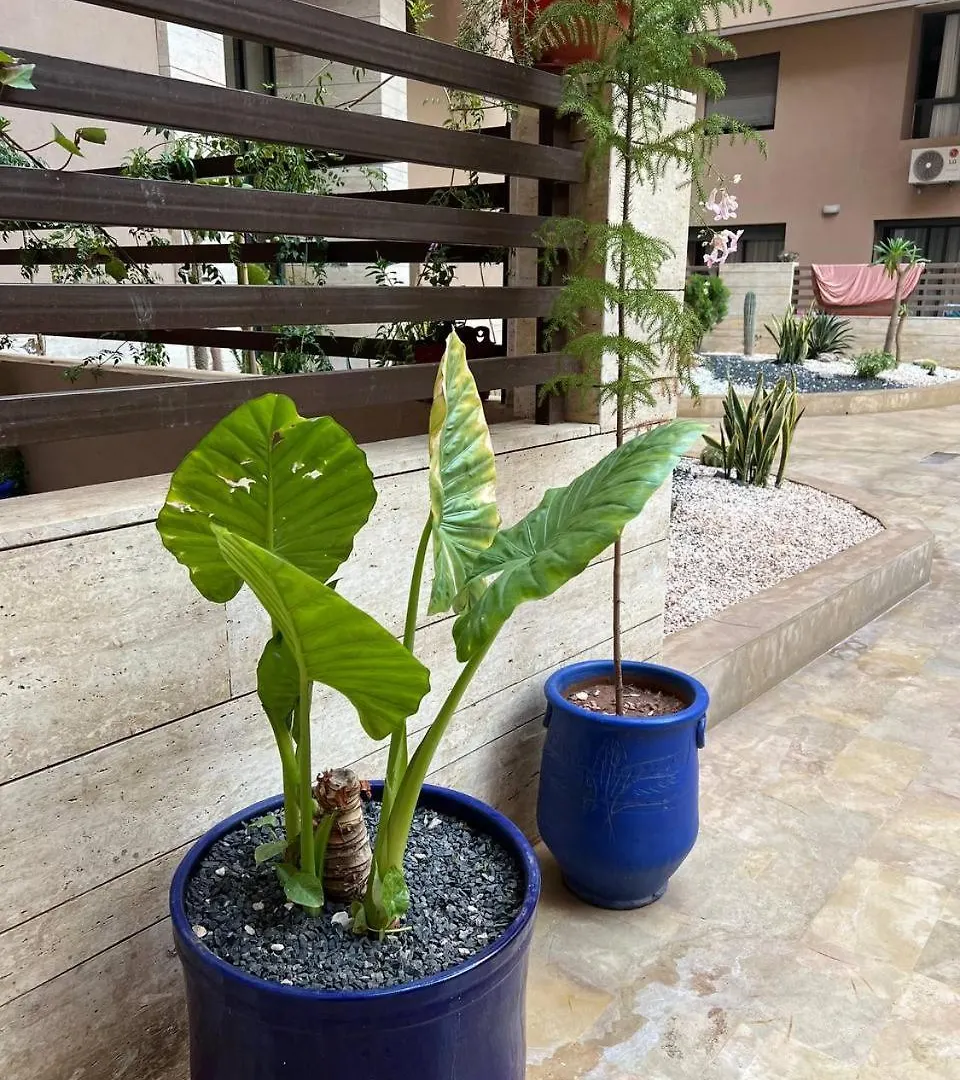 3Bd Appart Centre Located Marrakech Marrakesh Apartment
