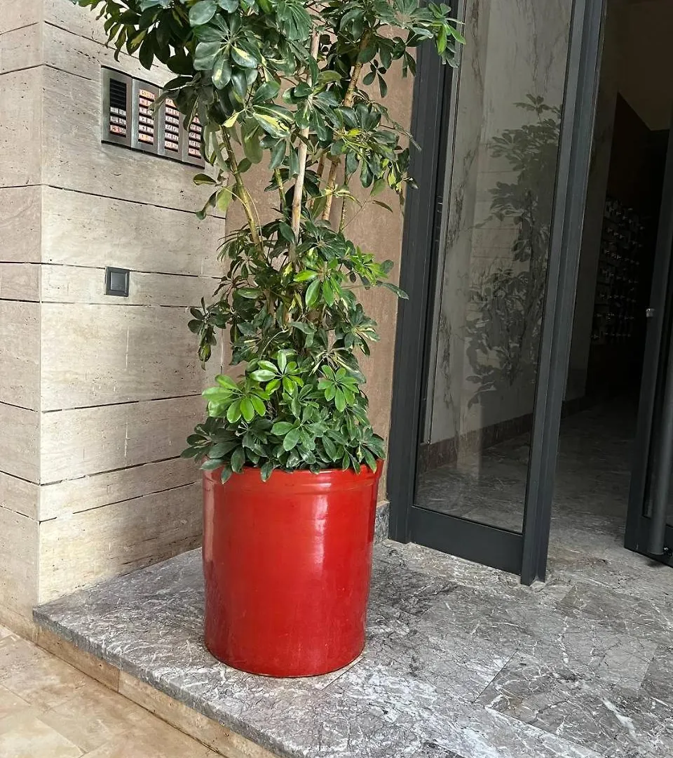 3Bd Appart Centre Located Marrakech Marrakesh